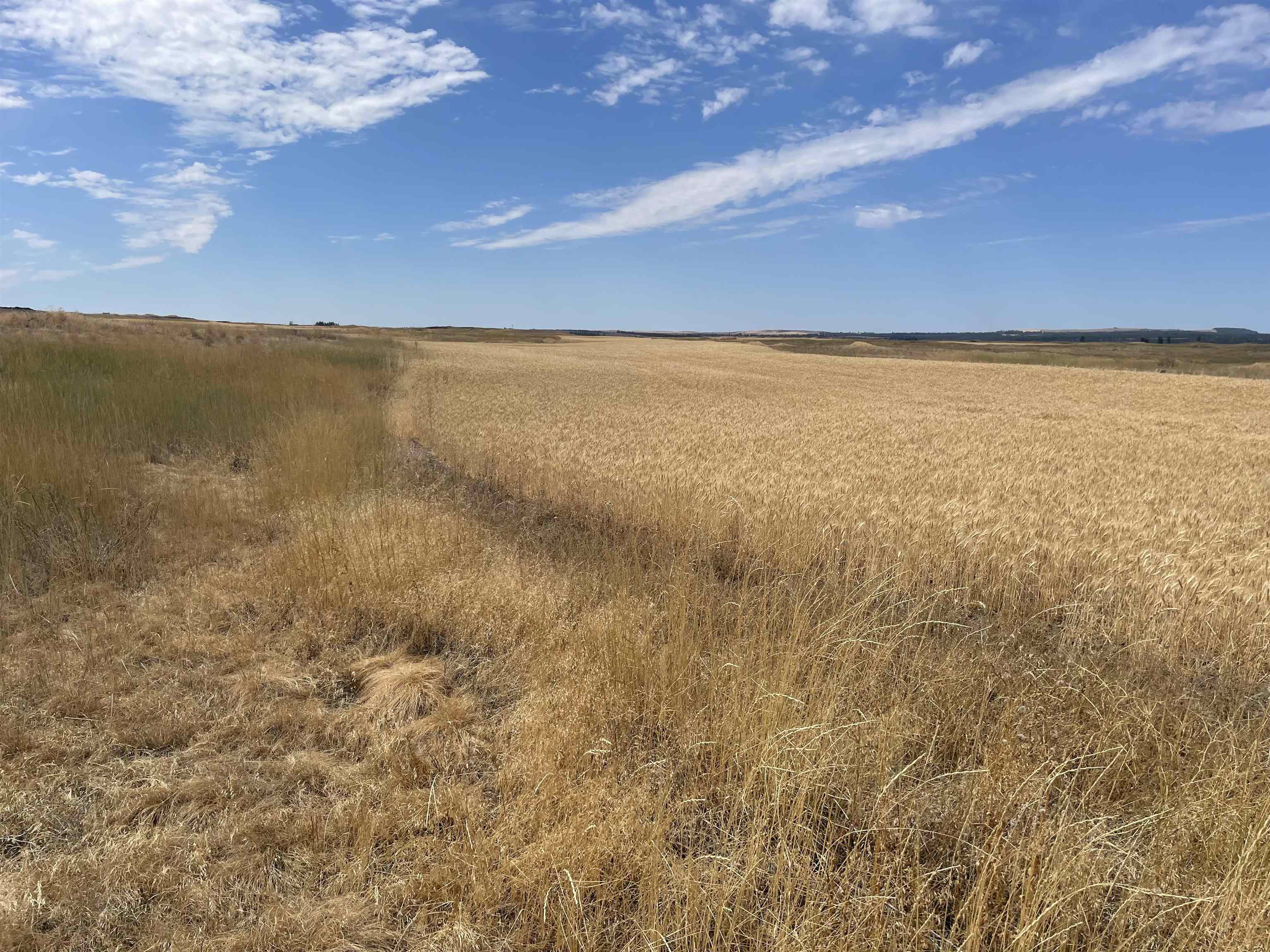 35251 Crescent N Road, Unit PARCEL 2 Reardan, WA 99029 - Photo 14 of 22