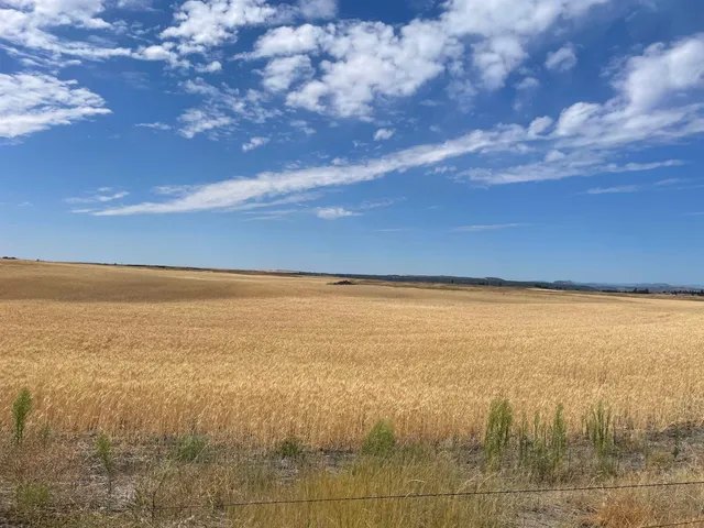 $120,000 | 35251 Crescent N Road, Unit PARCEL 2, Reardan, WA 99029