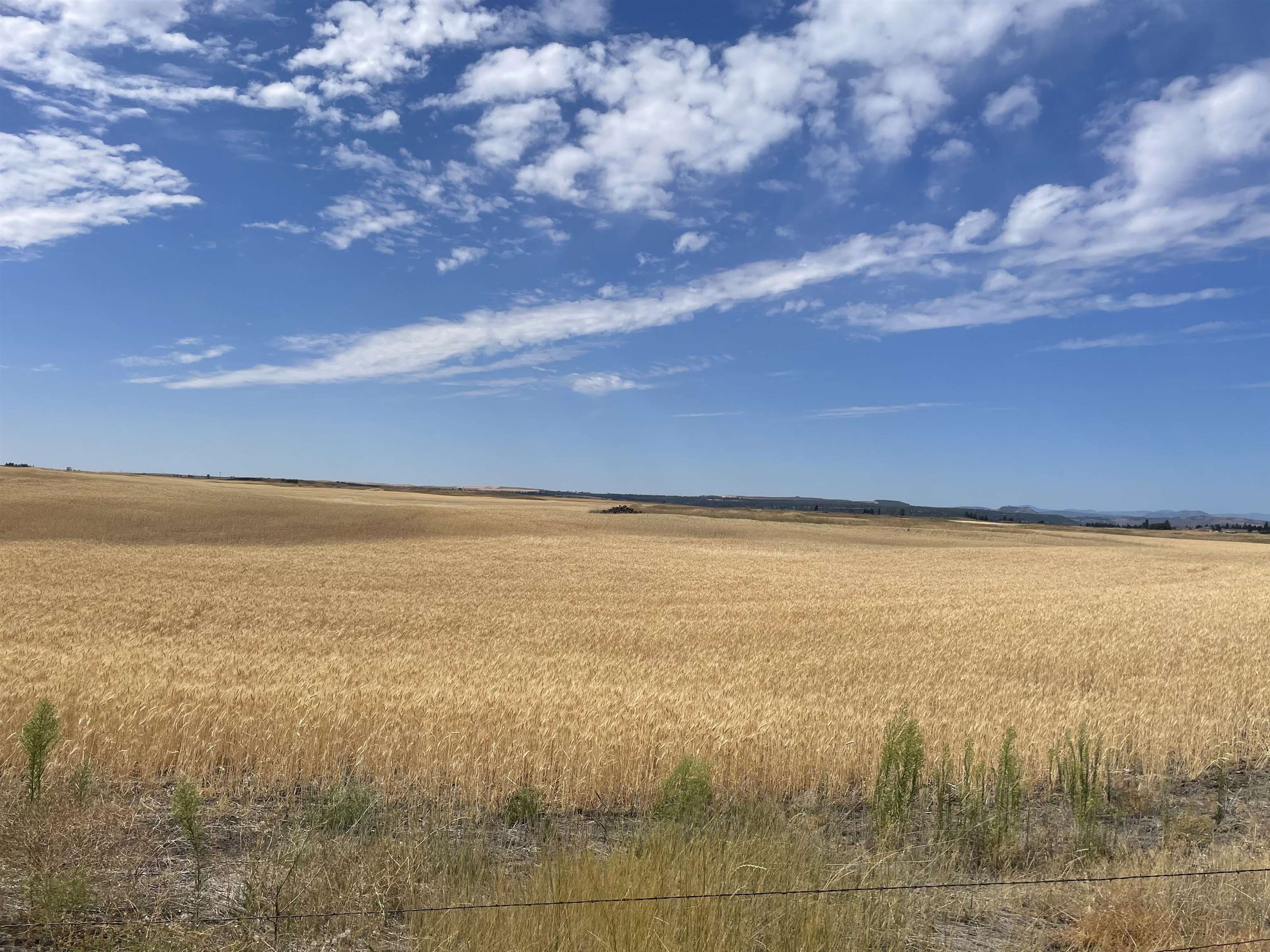 35251 Crescent N Road, Unit PARCEL 2 Reardan, WA 99029 - Photo 15 of 22