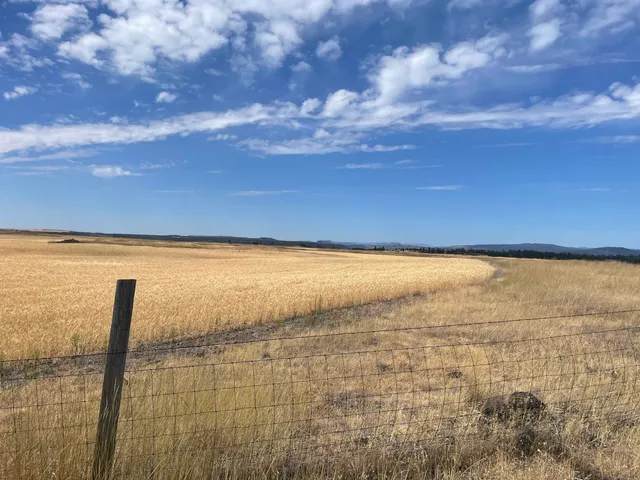 $120,000 | 35251 Crescent N Road, Unit PARCEL 2, Reardan, WA 99029