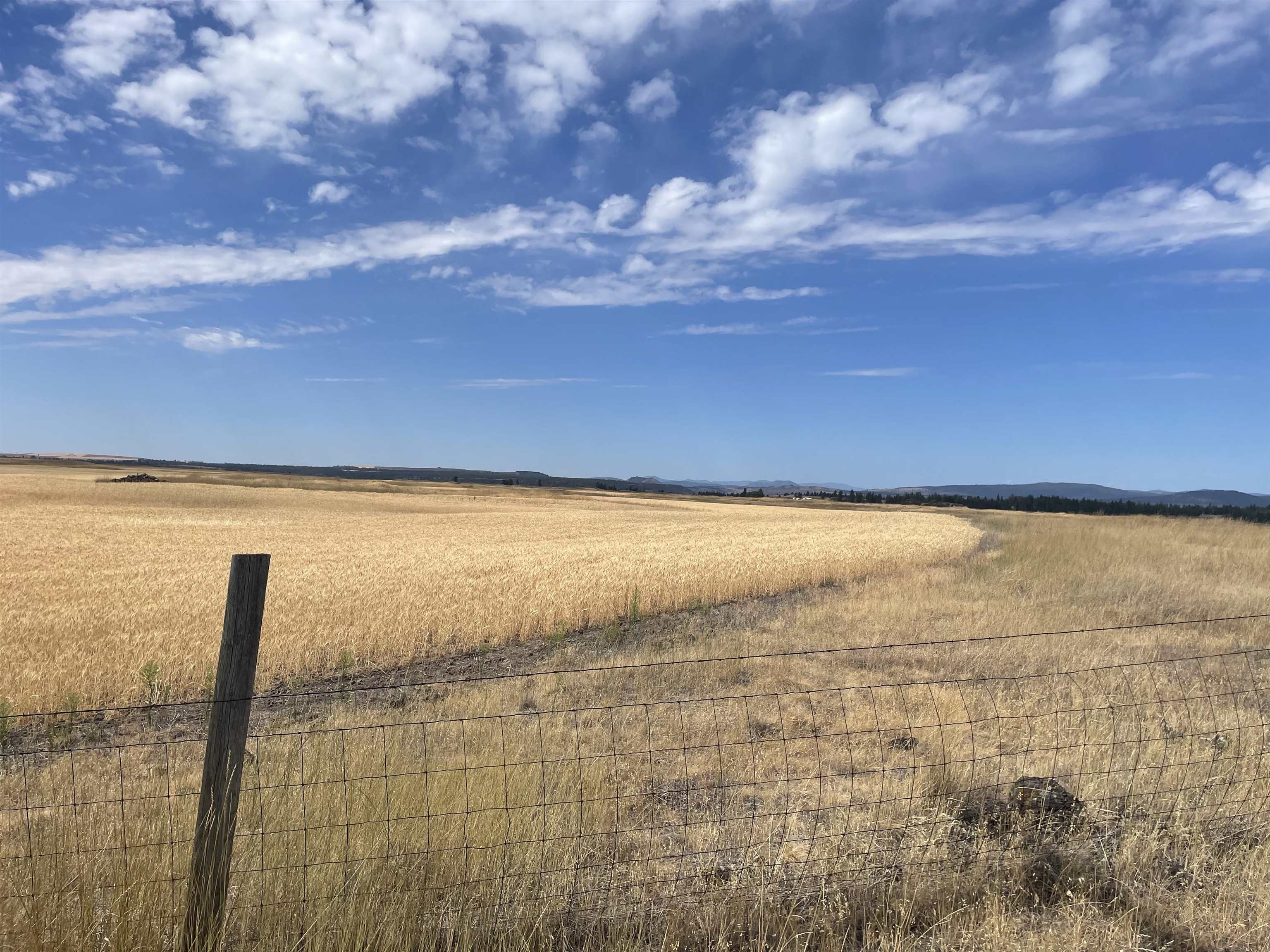 35251 Crescent N Road, Unit PARCEL 2 Reardan, WA 99029 - Photo 16 of 22