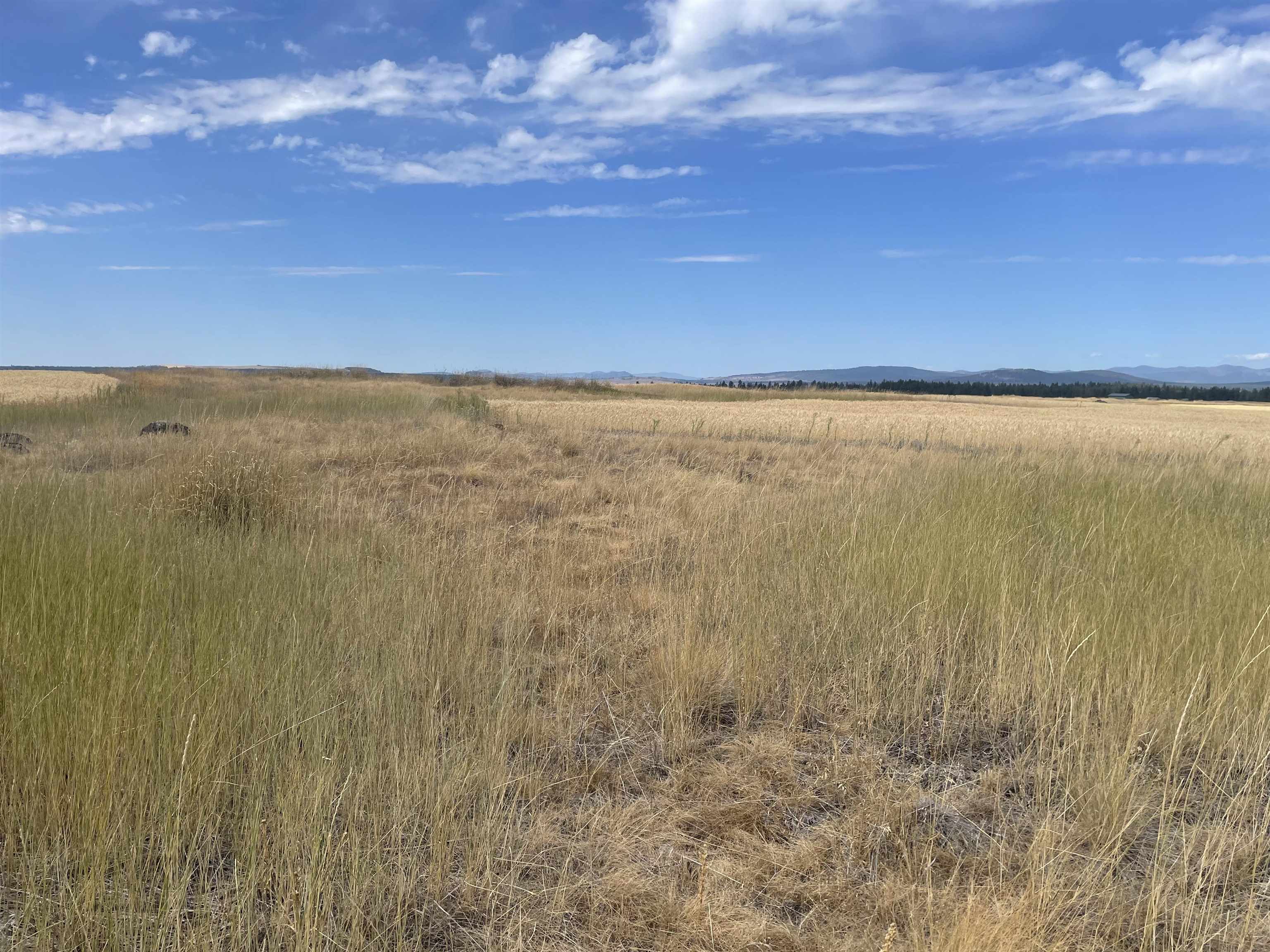 35251 Crescent N Road, Unit PARCEL 2 Reardan, WA 99029 - Photo 17 of 22