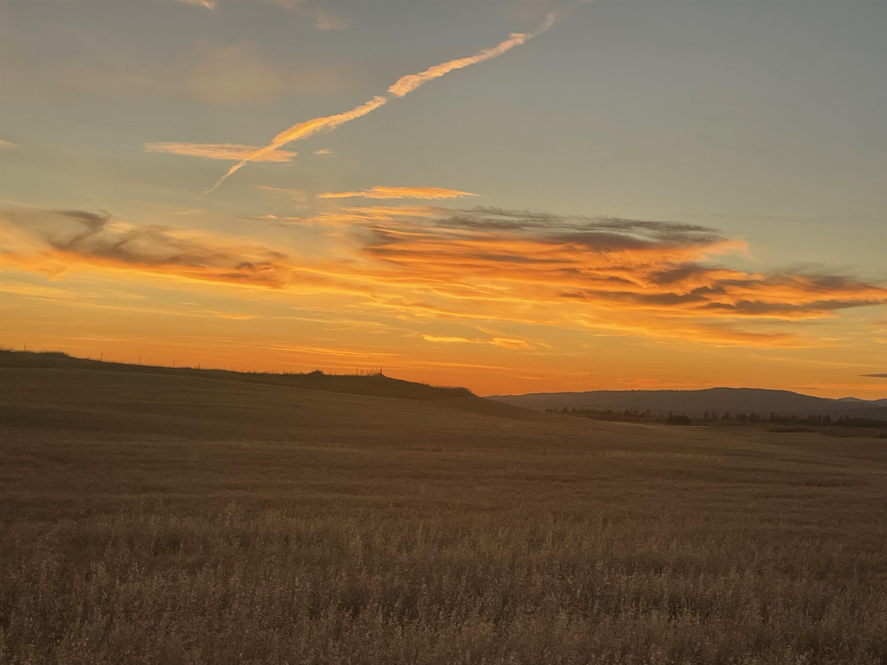 35251 Crescent N Road, Unit PARCEL 2 Reardan, WA 99029 - Photo 18 of 22