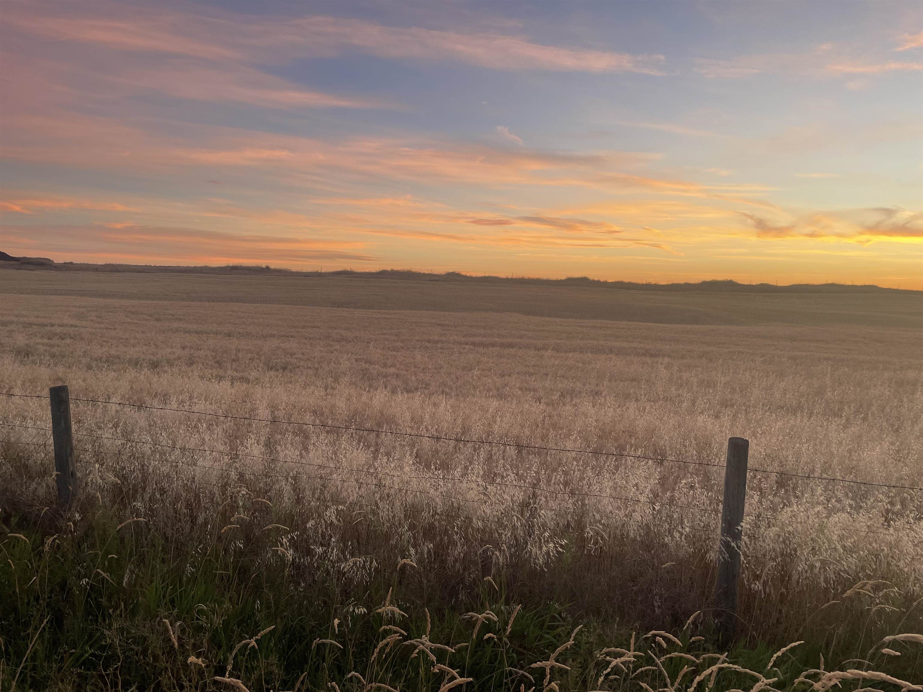 35251 Crescent N Road, Unit PARCEL 2 Reardan, WA 99029 - Photo 4 of 22