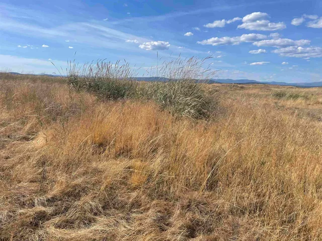 $120,000 | 35251 Crescent N Road, Unit PARCEL 2, Reardan, WA 99029