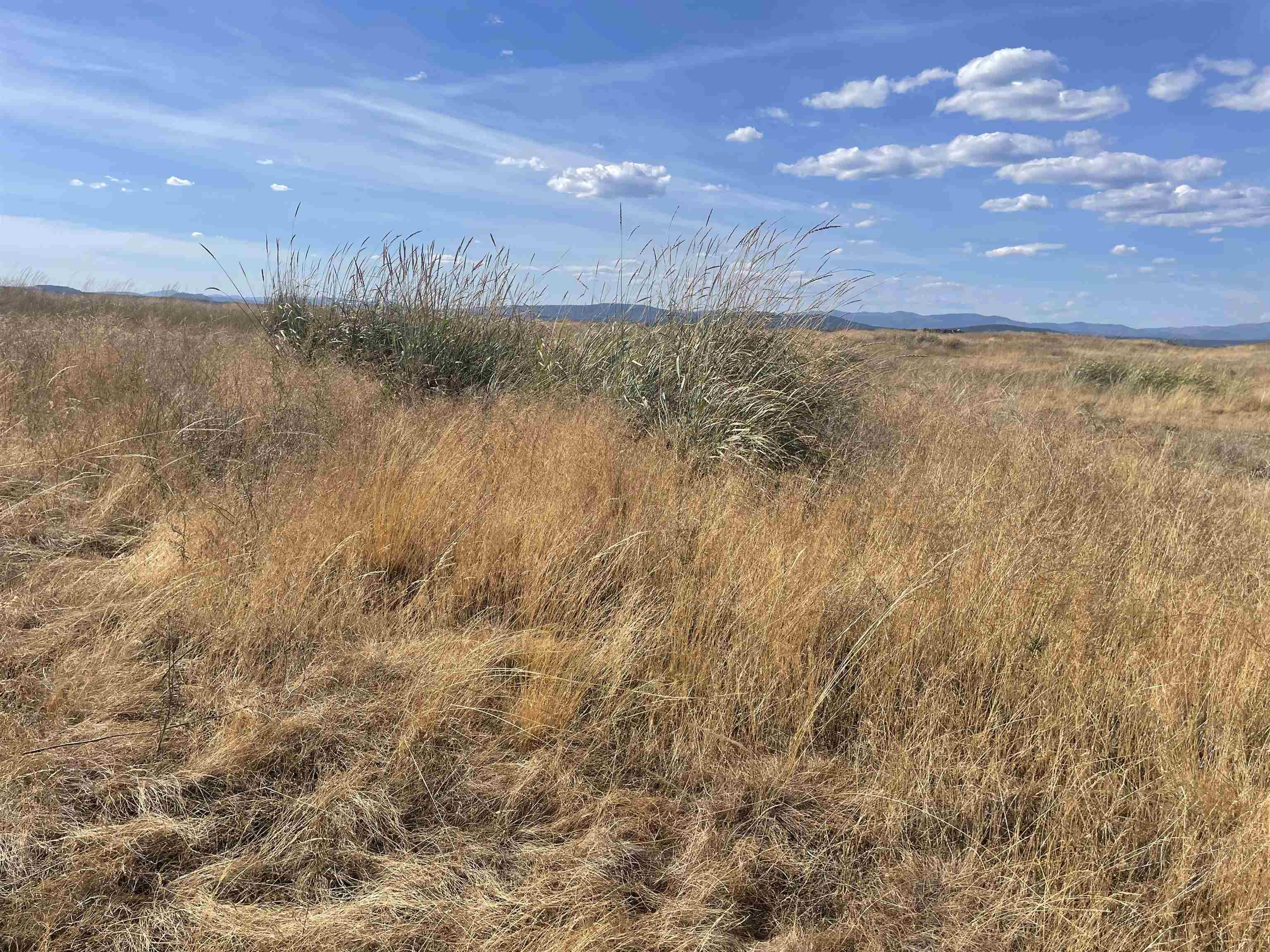 35251 Crescent N Road, Unit PARCEL 2 Reardan, WA 99029 - Photo 8 of 22