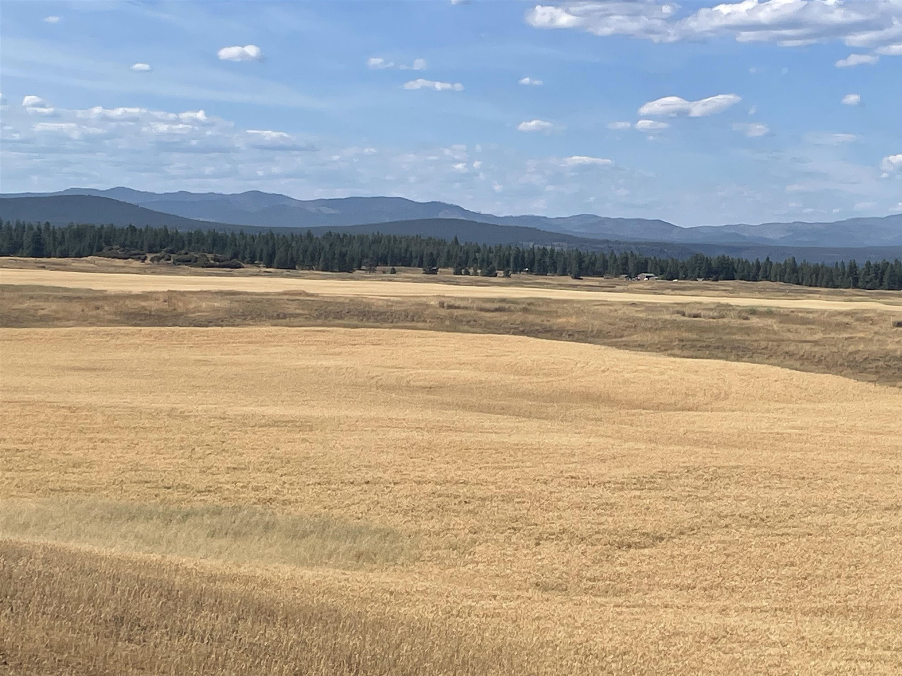 35251 Crescent N Road, Unit PARCEL 2 Reardan, WA 99029 - Photo 9 of 22