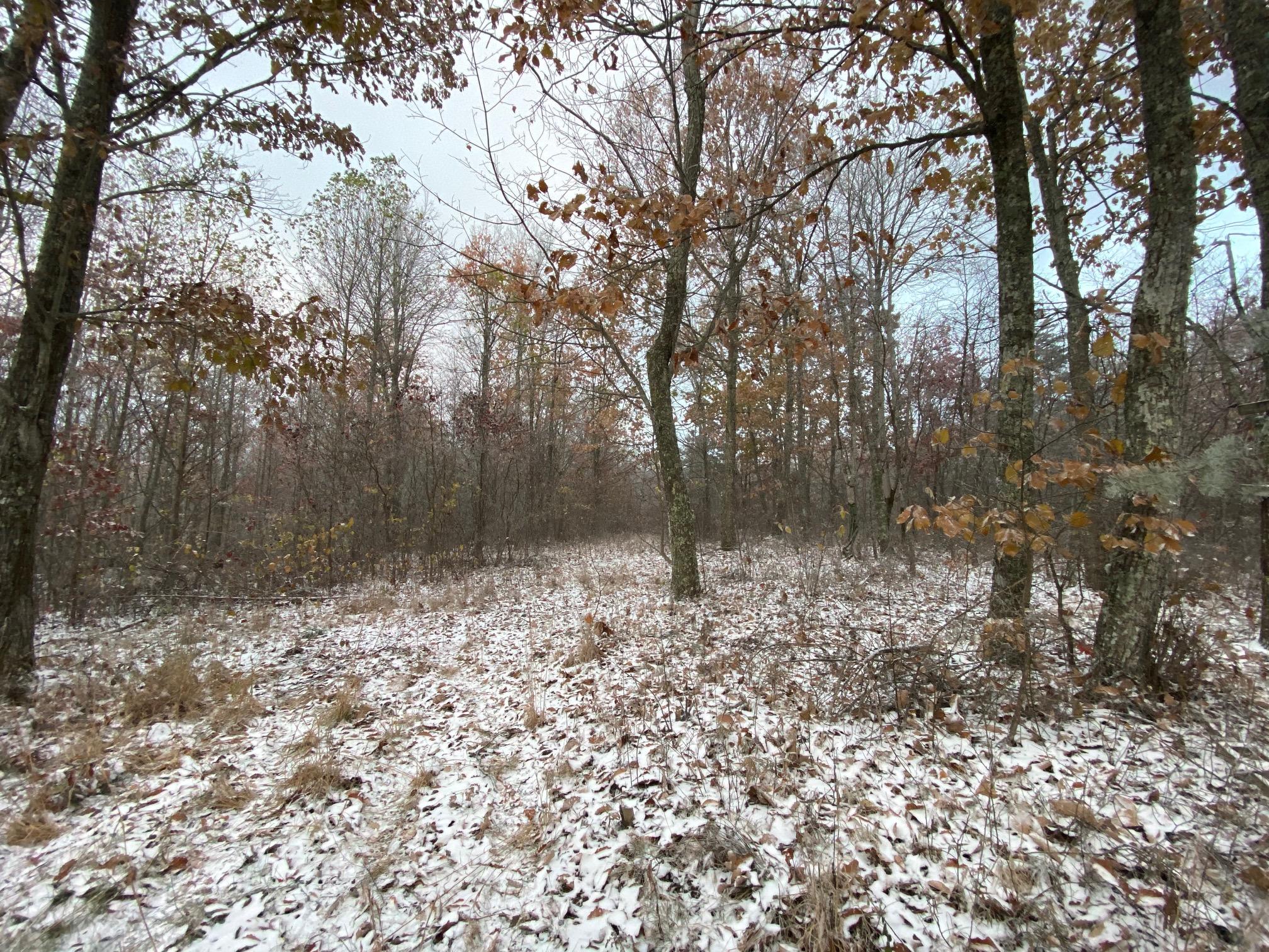 104.55 Palmer Firetower Road Whitwell, TN 37397 - Photo 1 of 10 IMG_0842