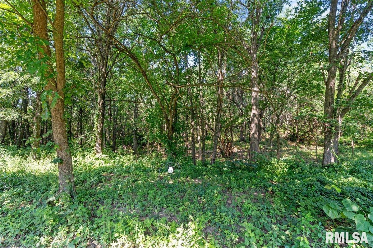 1761 Tozer Road Springfield, IL 62707 - Photo 42 of 58 Gallery Image 42