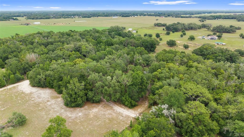 18330 Booming Road Spring Hill, FL 34610 - Photo 40 of 48