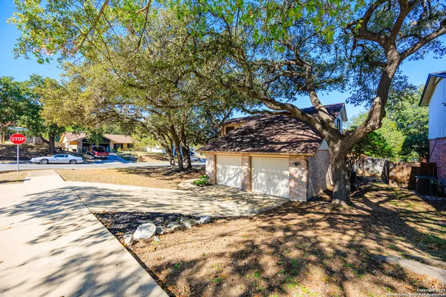 a view of a yard with a tree