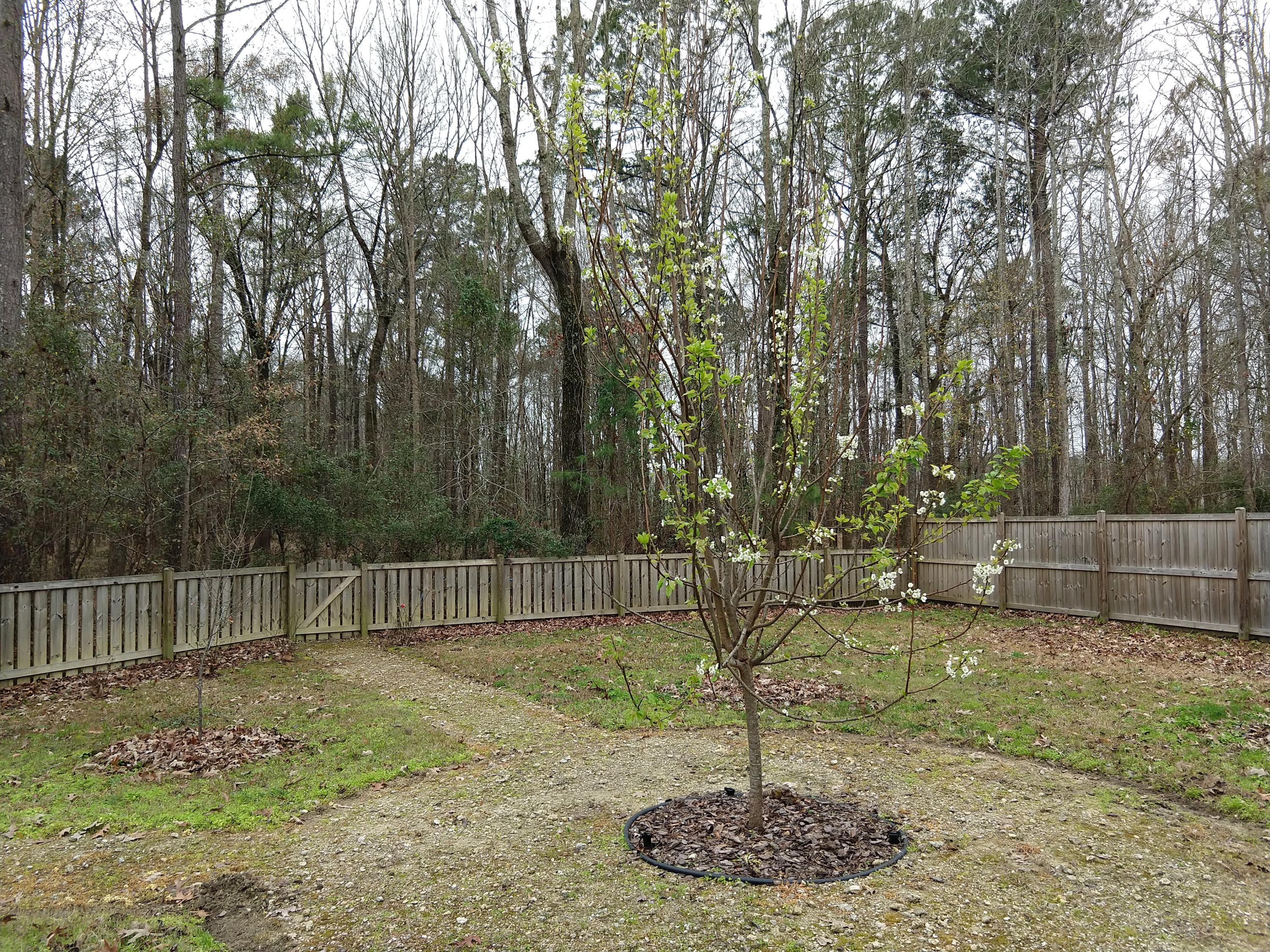 546 Brick Barn Lane Goose Creek, SC 29445 - Photo 19 of 19 IMG_20190212_103915994