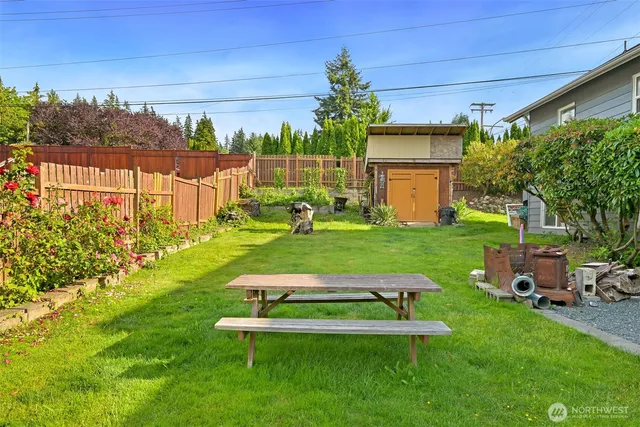 a view of a backyard with plants garden and trees