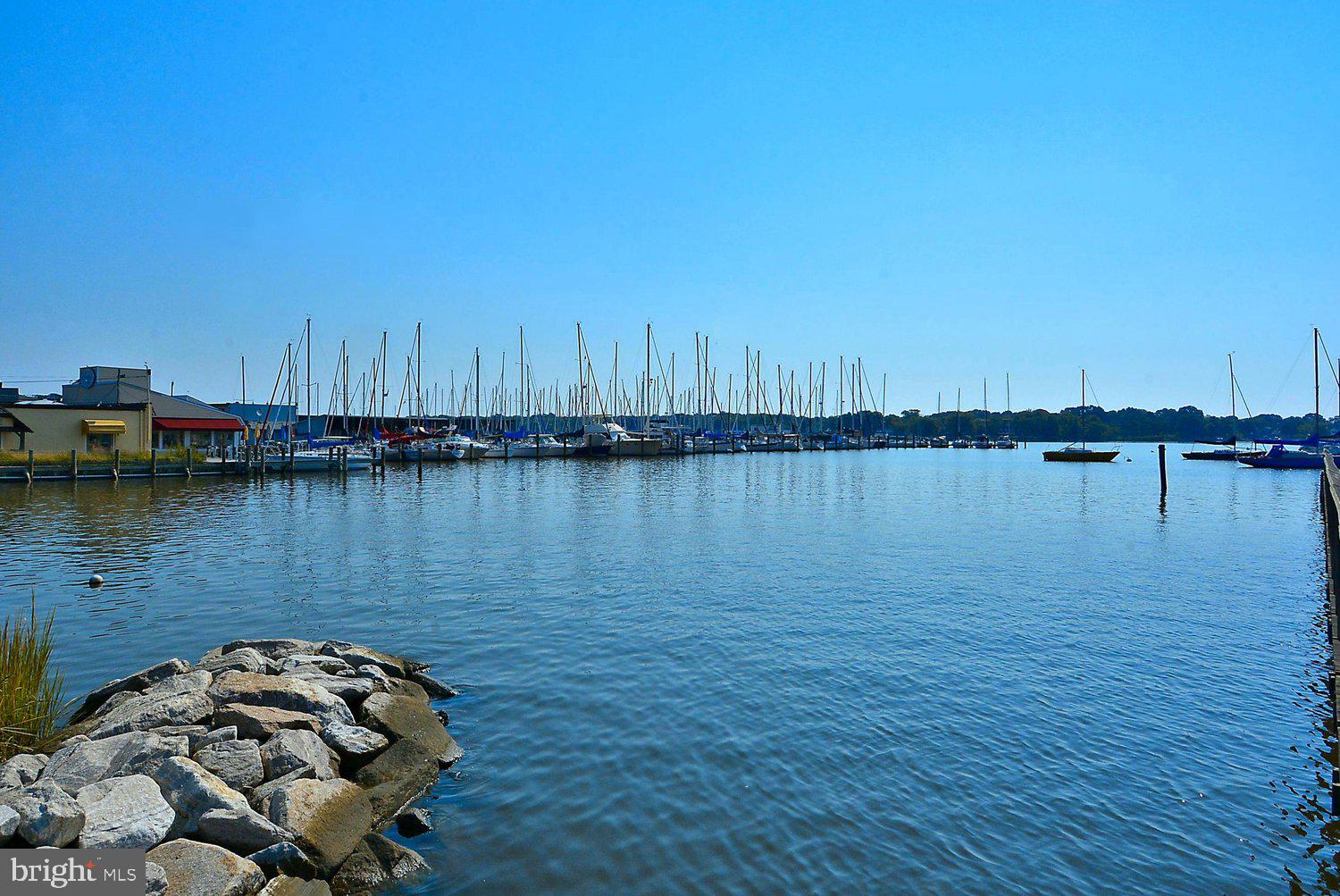 1001 Benning Road Galesville, MD 20765 - Photo 83 of 89 Galesville Marina