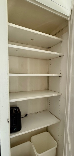 307 North Prairie Street, Unit 9 Champaign, IL 61820 - Photo 11 of 41 a view of walk in closet with clothes and shoes