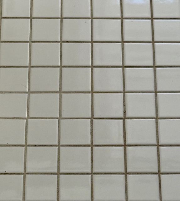 307 North Prairie Street, Unit 9 Champaign, IL 61820 - Photo 19 of 41 a view of a room with a window