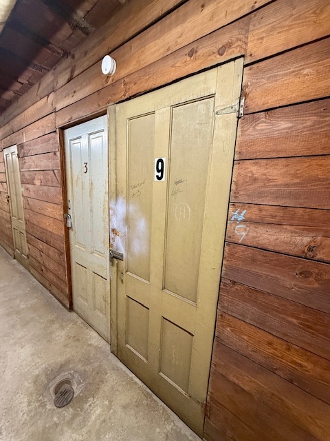 307 North Prairie Street, Unit 9 Champaign, IL 61820 - Photo 30 of 41 a bathroom with a shower