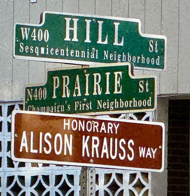 307 North Prairie Street, Unit 9 Champaign, IL 61820 - Photo 38 of 41