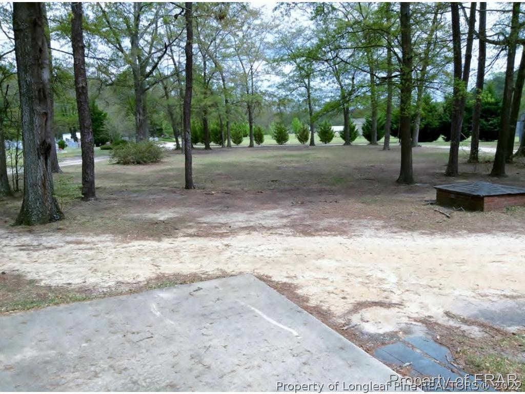 298 Magnolia Church Road Stedman, NC 28391 - Photo 31 of 33 a view of a park with trees