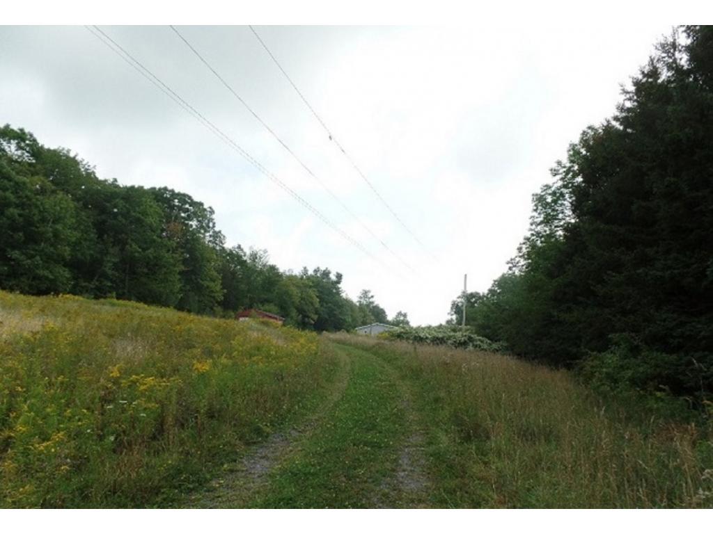 64 Gaf Lake Road Windsor, NY 13865 - Photo 1 of 17 Gallery Image 1