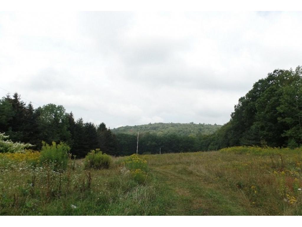 64 Gaf Lake Road Windsor, NY 13865 - Photo 17 of 17 Gallery Image 17
