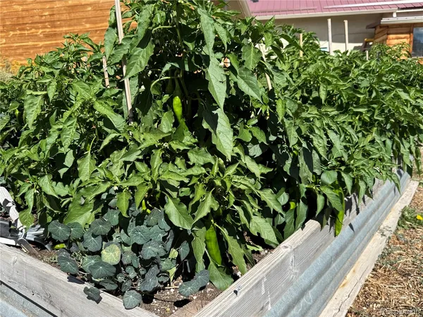 a view of a garden