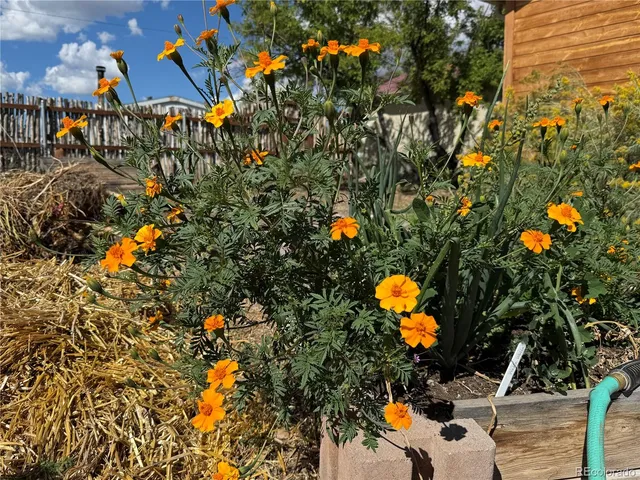 an aerial view of residential houses with yard and outdoor seating