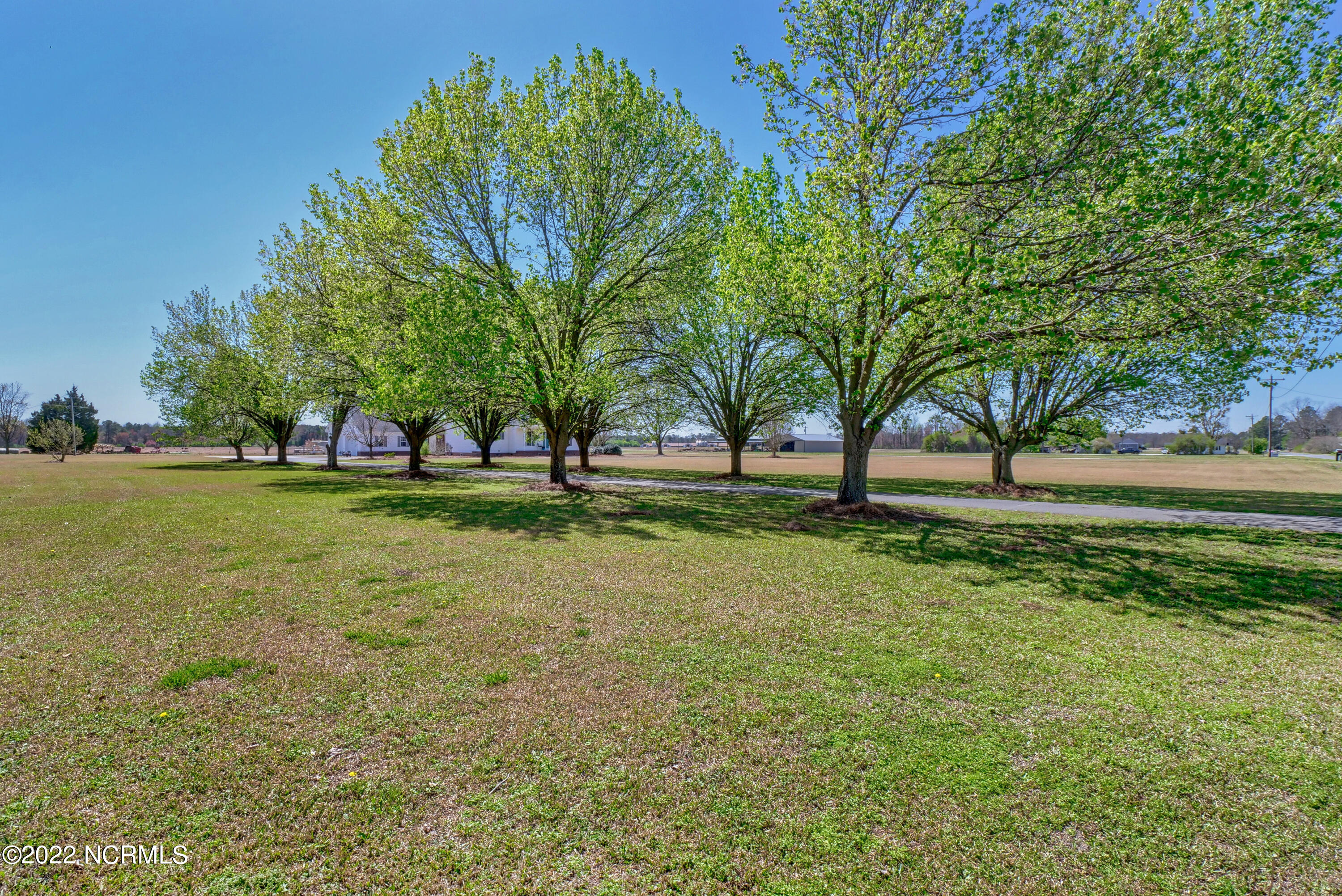 626 Quinn Store Road Beulaville, NC 28518 - Photo 3 of 43 003_p7977810_1_2_3_4_5_6
