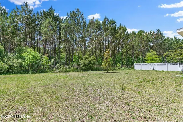 a view of a backyard
