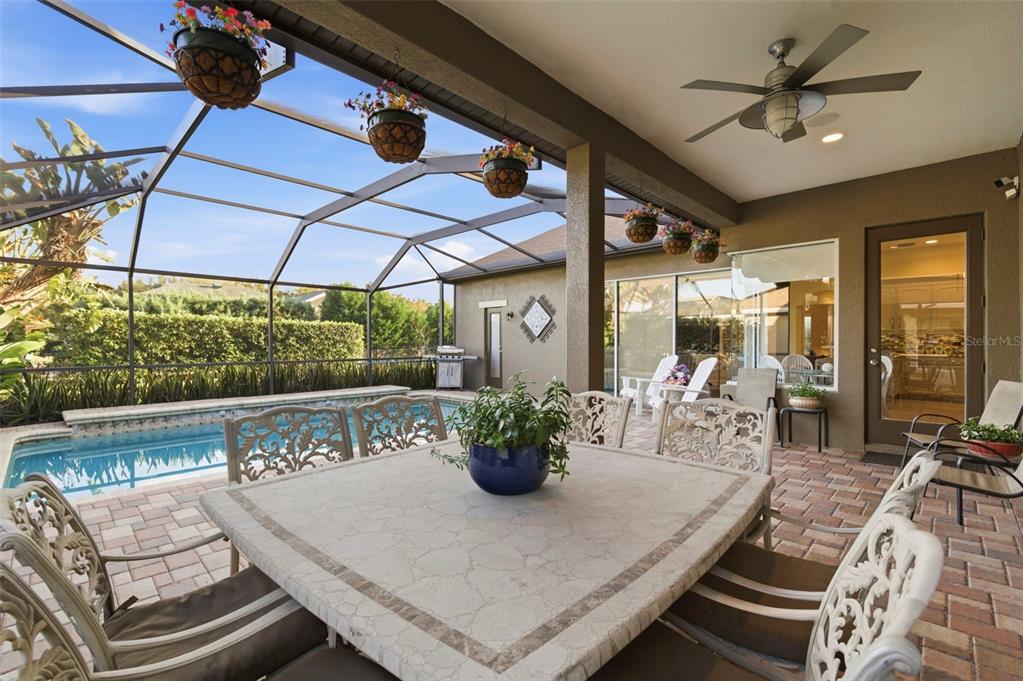 10648 Gooseberry Court Trinity, FL 34655 - Photo 25 of 29