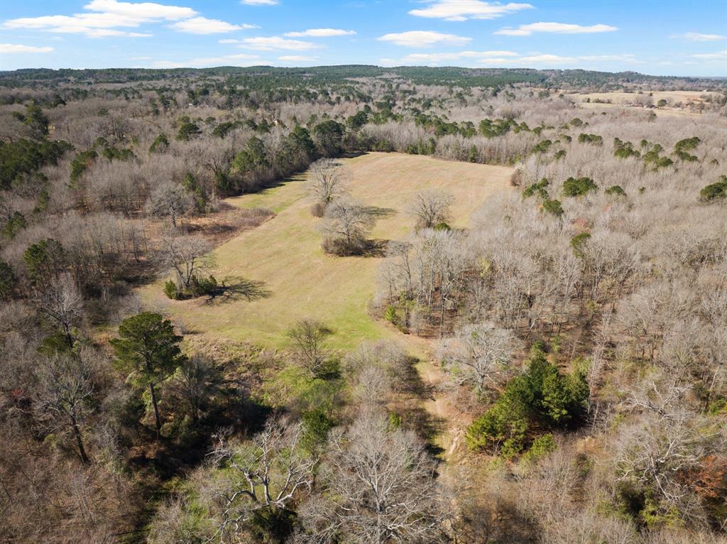 Tbd Nix Street Daingerfield, TX 75638 - Photo 2 of 16 a view of a field