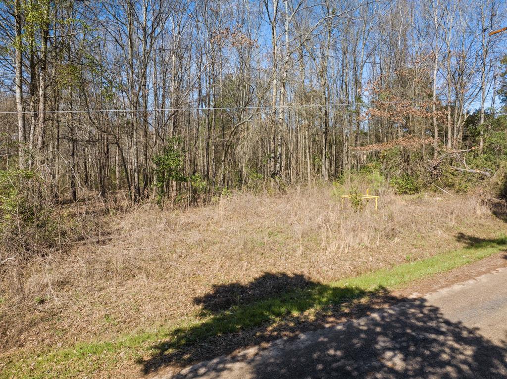 Tbd Nix Street Daingerfield, TX 75638 - Photo 7 of 16 a view of open area with green space