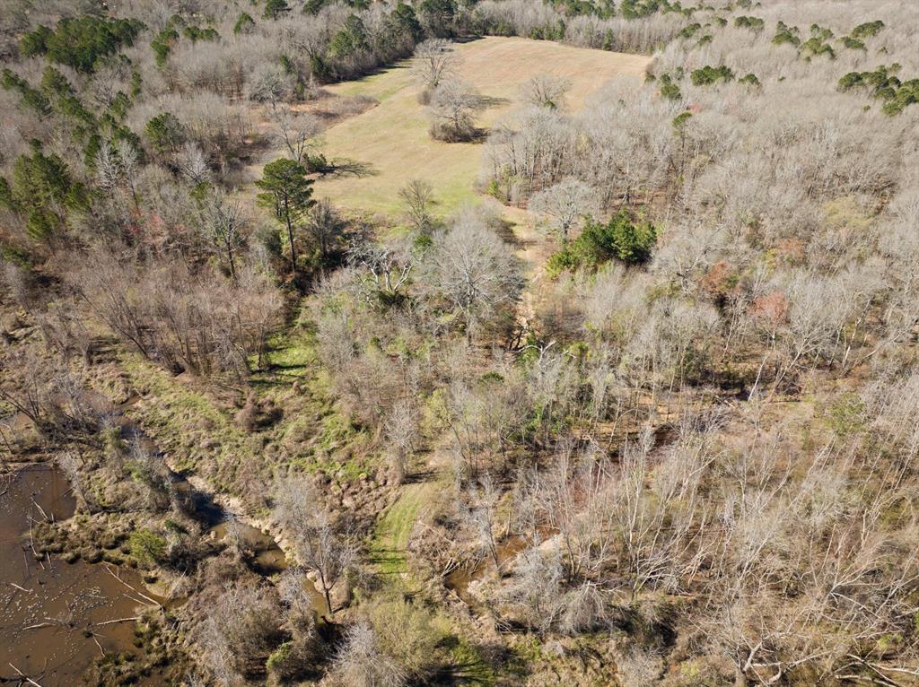 Tbd Nix Street Daingerfield, TX 75638 - Photo 9 of 16 a view of a dry yard covered with snow