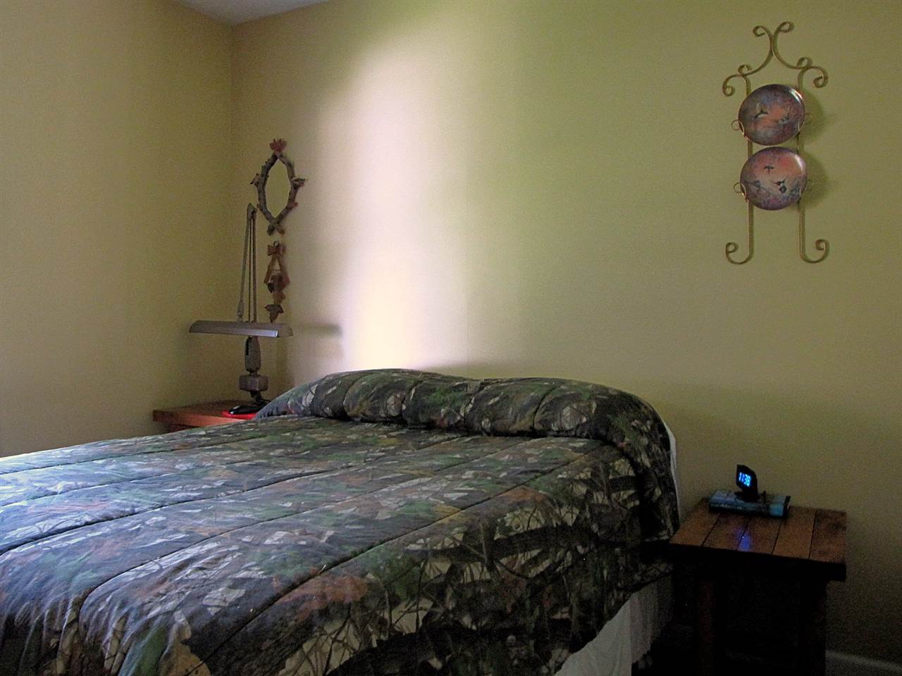 11915 32 1/2 Road Cadillac, MI 49601 - Photo 19 of 35 1807379-18.JPG
