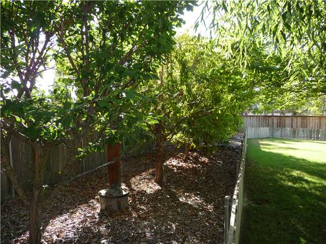 4603 Sheridan Road Oceanside, CA 92056 - Photo 5 of 25 Orchard with multiple fruit trees.