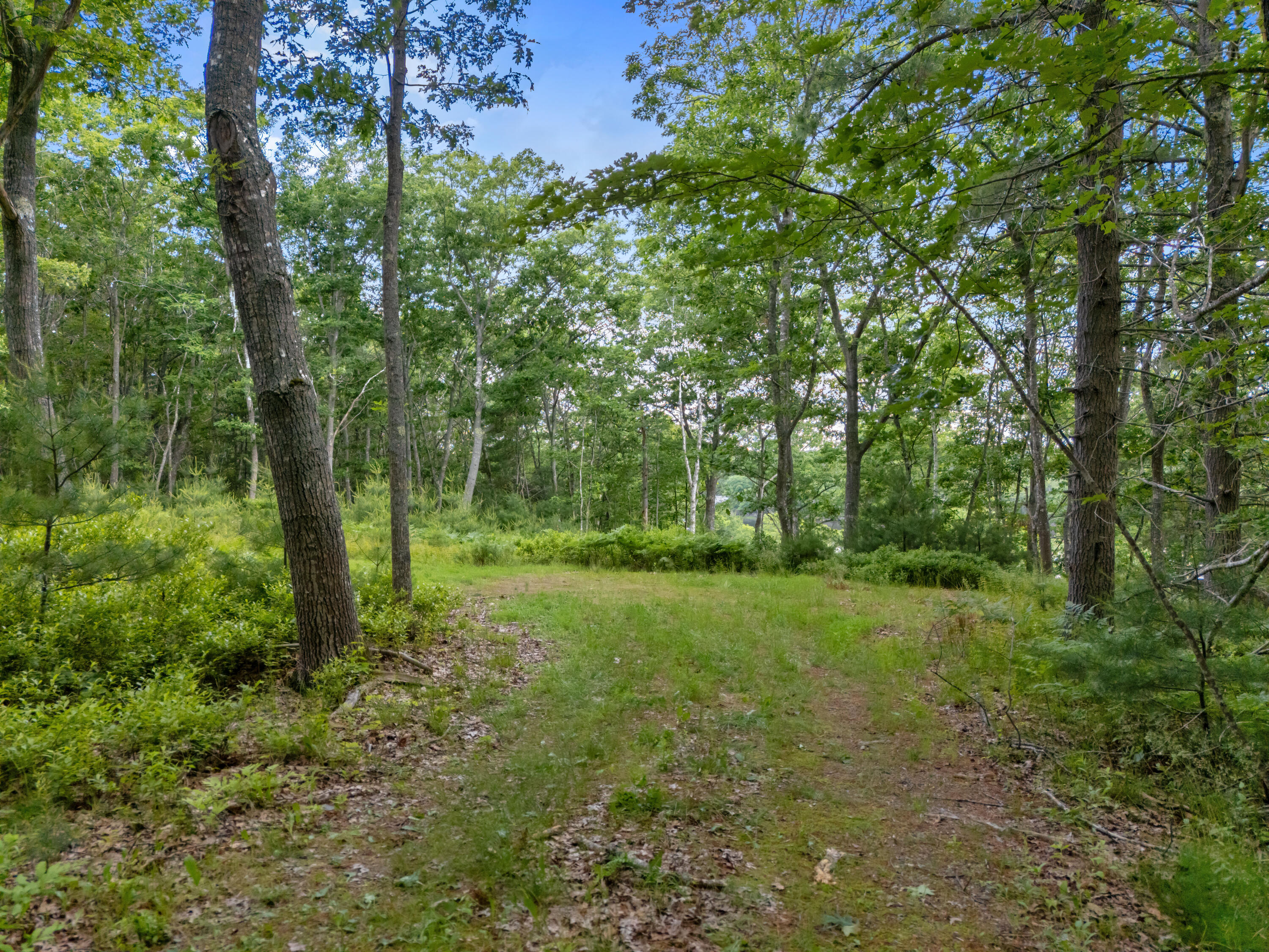Lot 16 Captain John Parker Road Phippsburg, ME 04562 - Photo 20 of 29 DJI_20260619181019_0377_D y