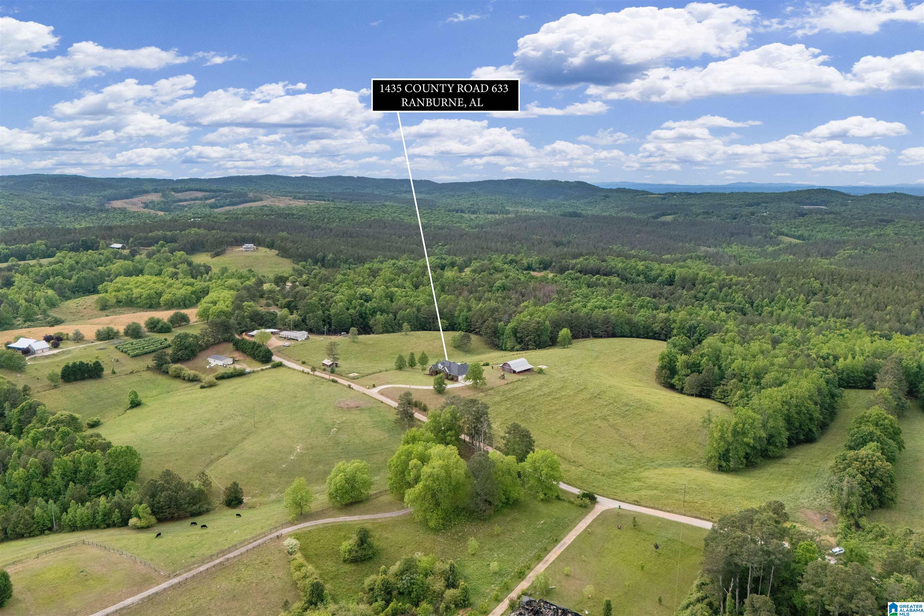 1435 County Road 633 Ranburne, AL 36273 - Photo 64 of 96