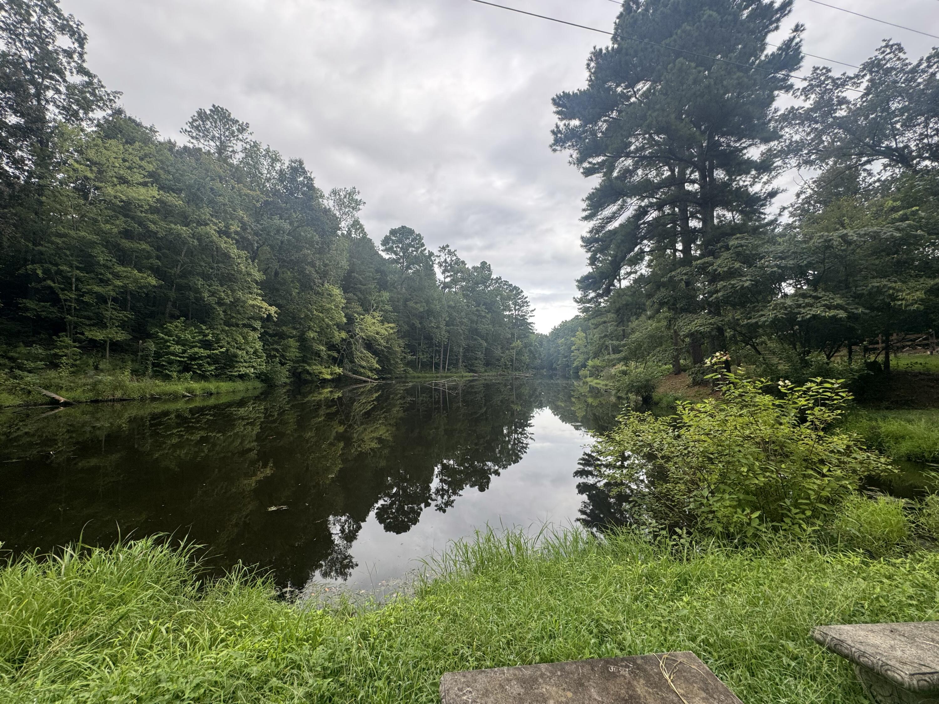 252 River Run Road Calhoun, TN 37309 - Photo 52 of 63 IMG_2424