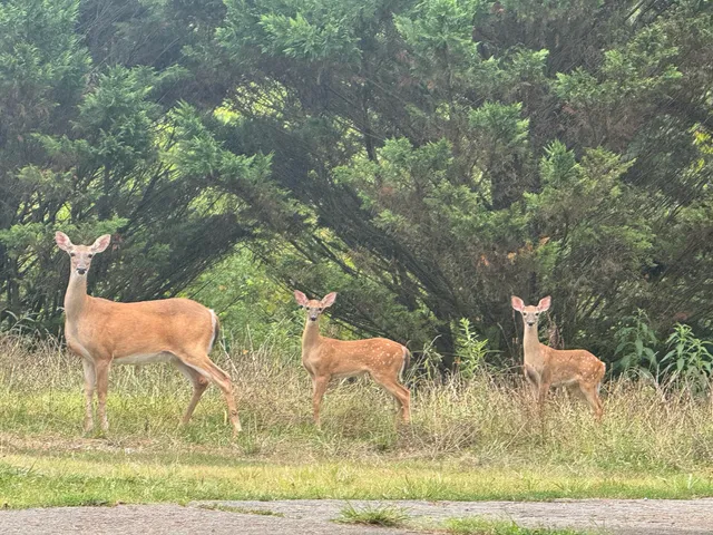 $374,999 | 252 River Run Road, Calhoun, TN 37309