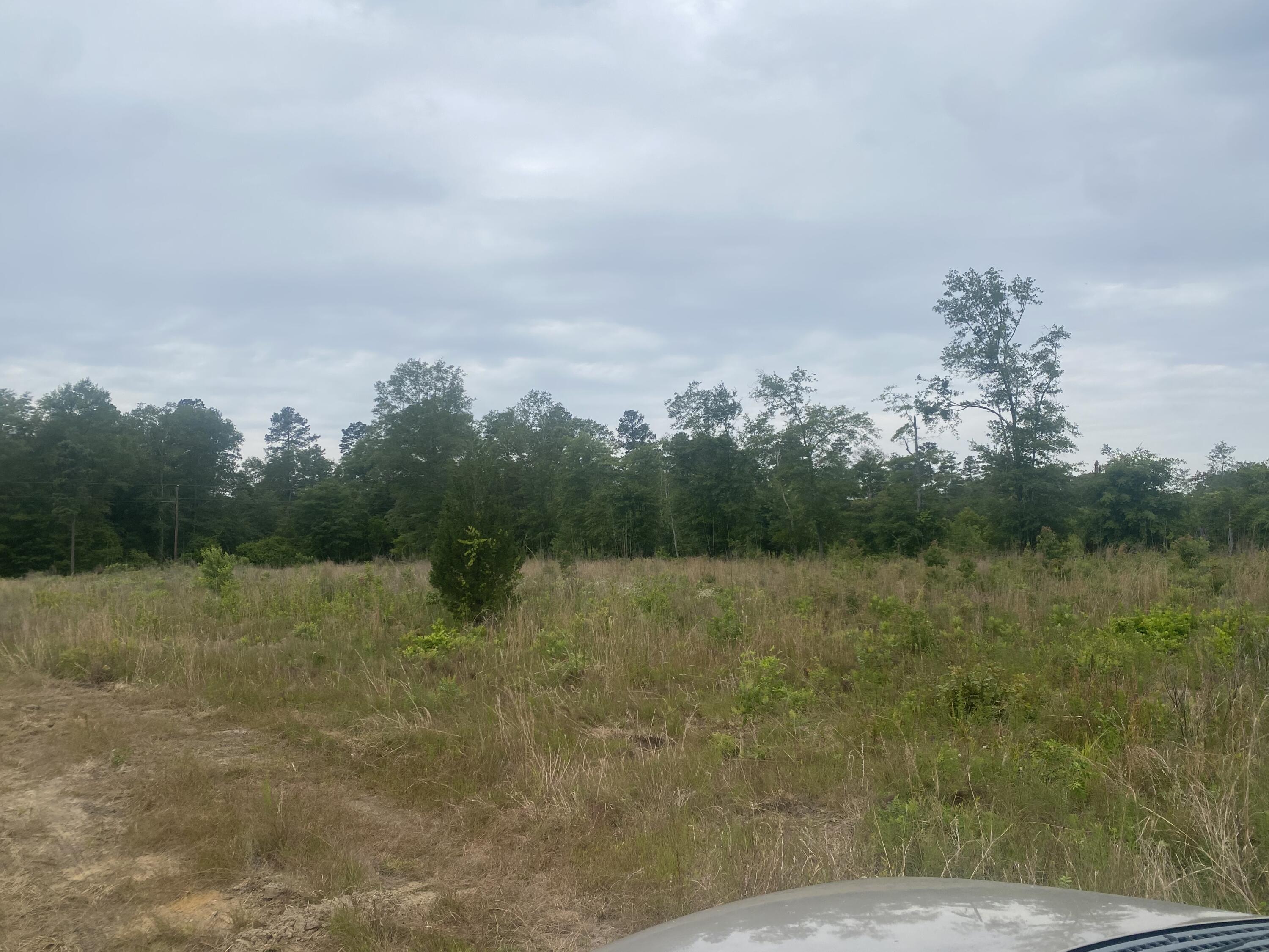 615 Waterwheel Road Salley, SC 29137 - Photo 1 of 7