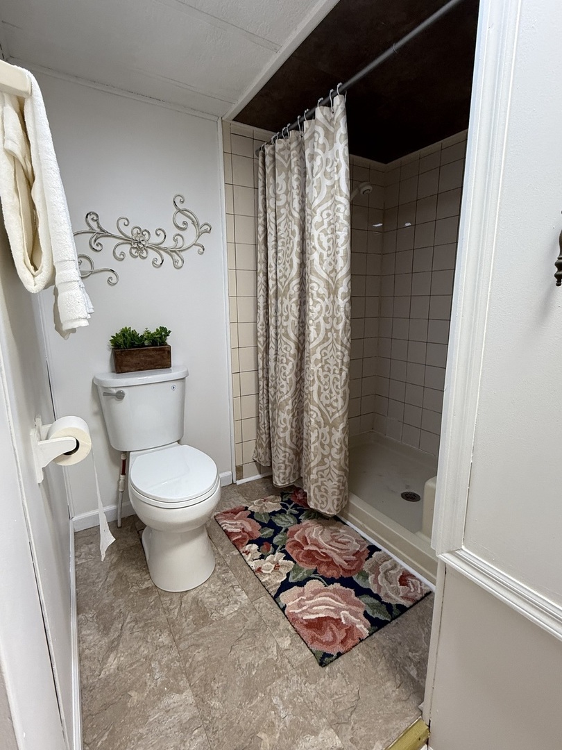 608 Tanglewood Road Matteson, IL 60443 - Photo 21 of 28 a bathroom with a toilet and a shower