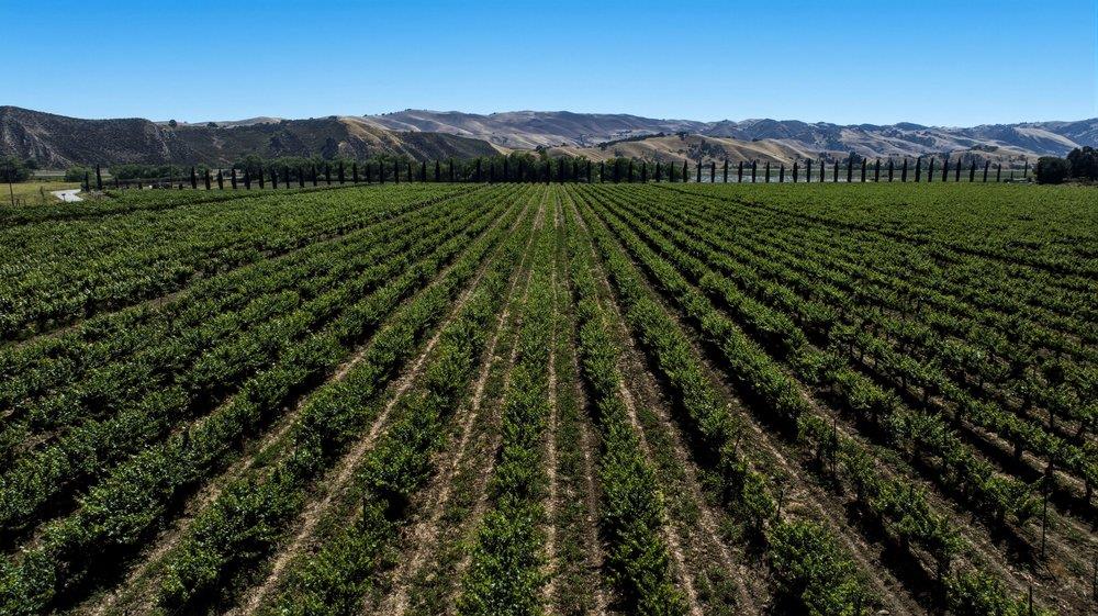24.5-acres Cienega Road Paicines, CA 95043 - Photo 10 of 38