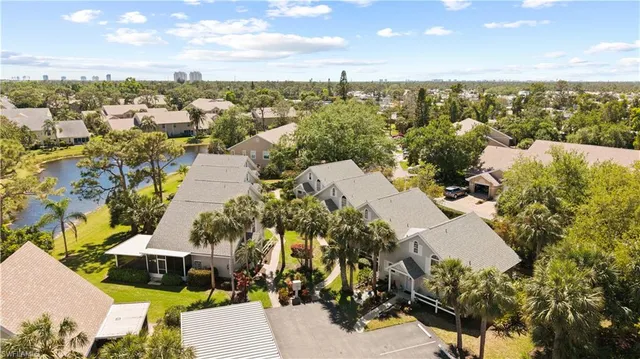 a potted plant sitting in front of a house