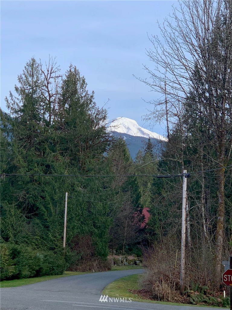 11093 Alpine Road Deming, WA 98244 - Photo 11 of 22 Gallery Image 11