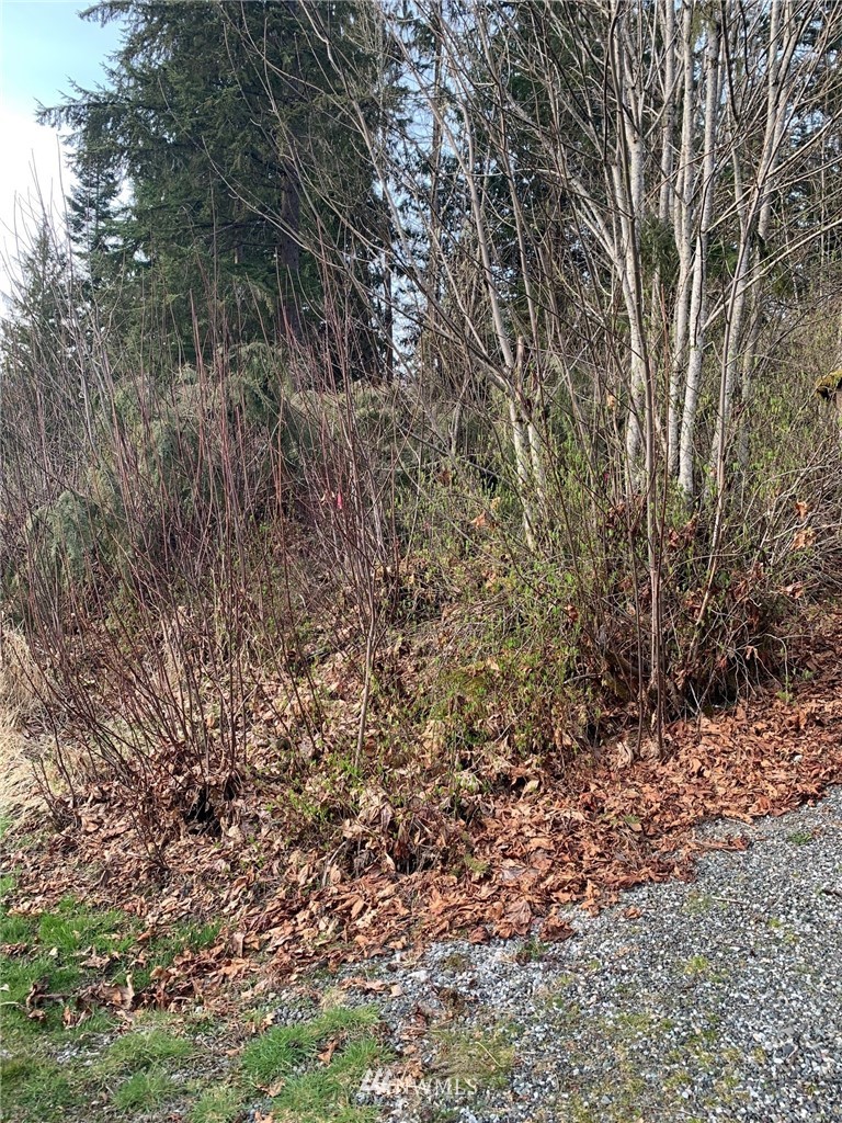 11093 Alpine Road Deming, WA 98244 - Photo 6 of 22 Gallery Image 6