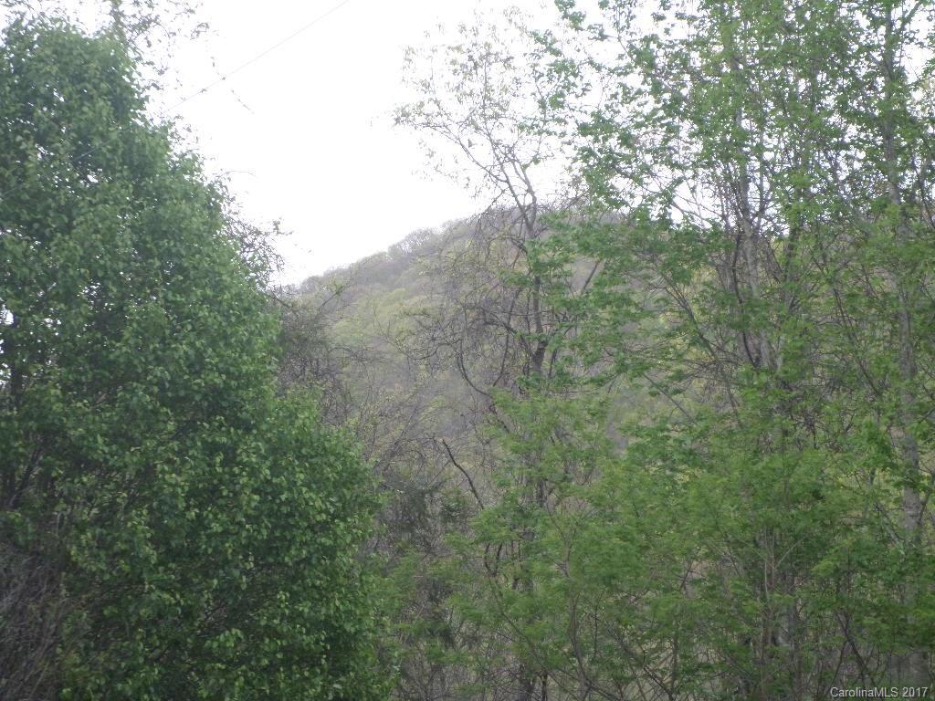 181 Lonesome Pine Road Clyde, NC 28721 - Photo 20 of 22