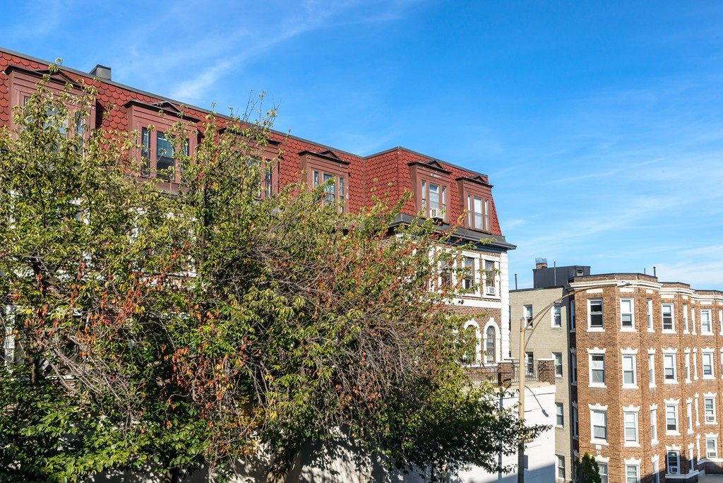 22 Bellvista Road, Unit 5 Boston, MA 02135 - Photo 2 of 25 Gallery Image 2