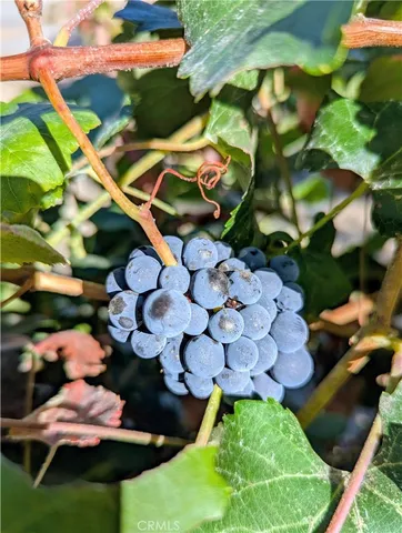 a view of street with electric equipment