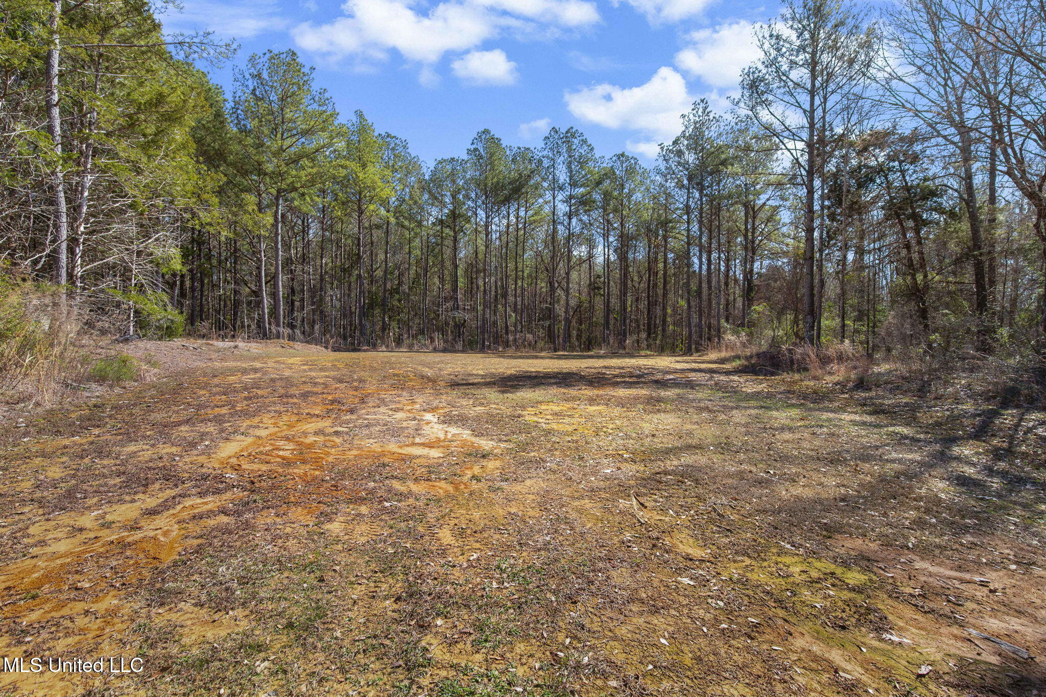 2162 Leesburg Road Morton, MS 39117 - Photo 68 of 88 62-web-or-mls-2162 Leesburg-73