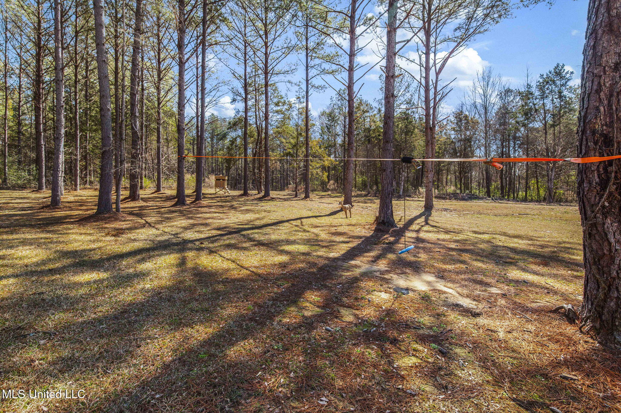 2162 Leesburg Road Morton, MS 39117 - Photo 69 of 88 66-web-or-mls-2162 Leesburg-70